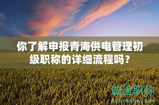 你了解申報青海供電管理初級職稱的詳細流程嗎？