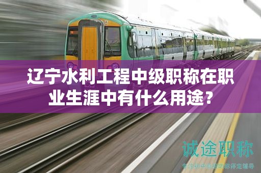 遼寧水利工程中級職稱在職業(yè)生涯中有什么用途？