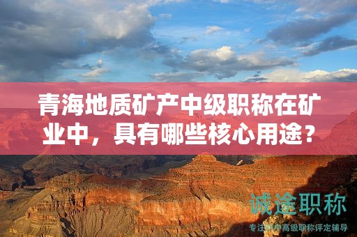 青海地質(zhì)礦產(chǎn)中級(jí)職稱在礦業(yè)中，具有哪些核心用途？