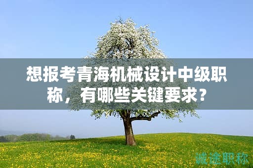 想報考青海機(jī)械設(shè)計(jì)中級職稱，有哪些關(guān)鍵要求？