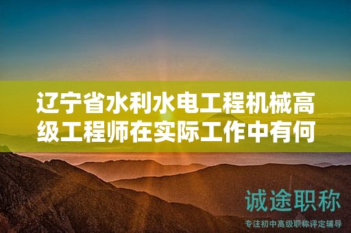遼寧省水利水電工程機械高級工程師在實際工作中有何用途？