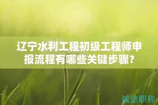 遼寧水利工程初級工程師申報流程有哪些關鍵步驟？