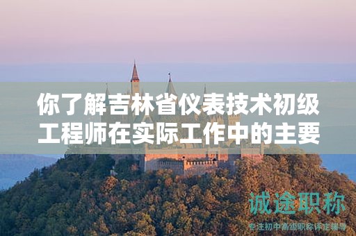 你了解吉林省儀表技術初級工程師在實際工作中的主要用途嗎？