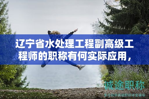 遼寧省水處理工程副高級工程師的職稱有何實際應(yīng)用，它能為職業(yè)生涯加分嗎？