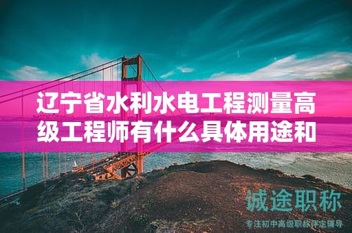 遼寧省水利水電工程測量高級工程師有什么具體用途和職責(zé)？