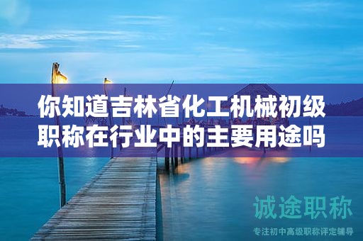 你知道吉林省化工機械初級職稱在行業(yè)中的主要用途嗎？