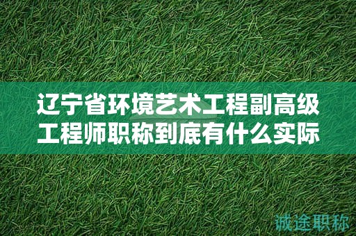 遼寧省環(huán)境藝術工程副高級工程師職稱到底有什么實際用途，為何這么受歡迎？