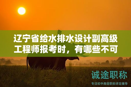遼寧省給水排水設(shè)計(jì)副高級工程師報考時，有哪些不可忽視的條件和要求？