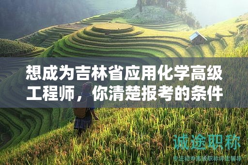 想成為吉林省應用化學高級工程師，你清楚報考的條件和要求嗎？