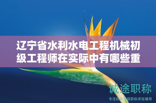 遼寧省水利水電工程機(jī)械初級(jí)工程師在實(shí)際中有哪些重要用途？
