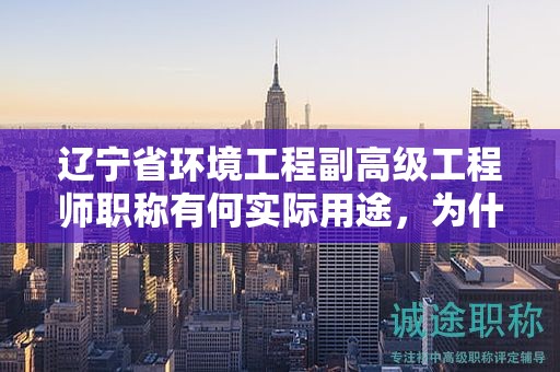遼寧省環(huán)境工程副高級工程師職稱有何實(shí)際用途，為什么這么多人追求？