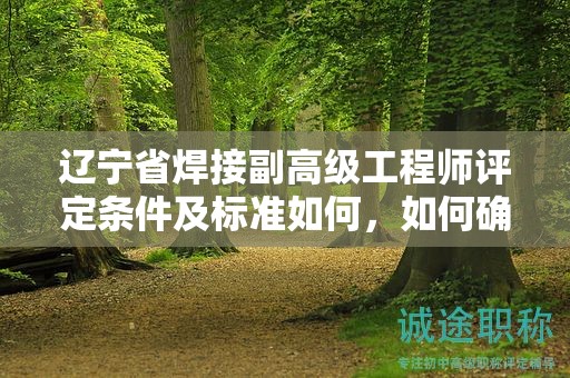 遼寧省焊接副高級工程師評定條件及標(biāo)準(zhǔn)如何，如何確保達(dá)標(biāo)？