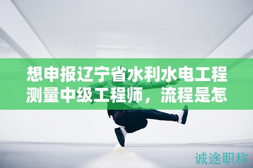 想申報遼寧省水利水電工程測量中級工程師，流程是怎樣的？