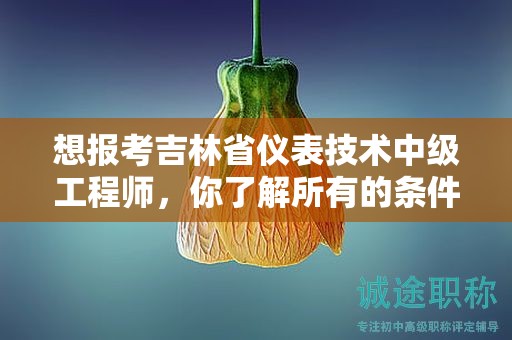 想報考吉林省儀表技術(shù)中級工程師，你了解所有的條件和要求嗎？
