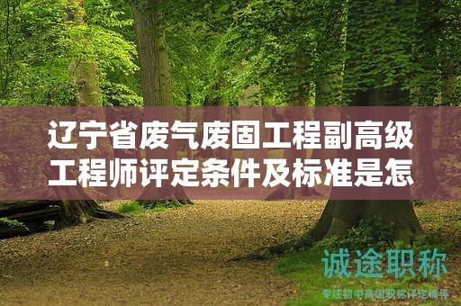 遼寧省廢氣廢固工程副高級(jí)工程師評(píng)定條件及標(biāo)準(zhǔn)是怎樣的，如何為之做好準(zhǔn)備？