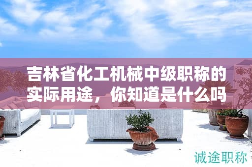 吉林省化工機(jī)械中級(jí)職稱(chēng)的實(shí)際用途，你知道是什么嗎？