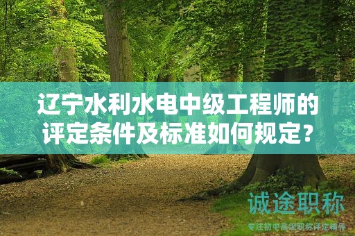 遼寧水利水電中級工程師的評定條件及標(biāo)準(zhǔn)如何規(guī)定？
