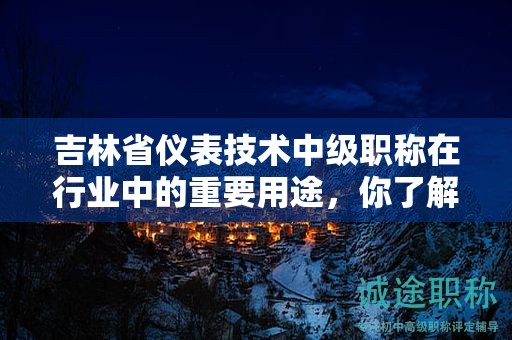 吉林省儀表技術(shù)中級職稱在行業(yè)中的重要用途，你了解嗎？