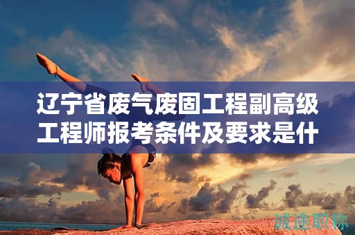 遼寧省廢氣廢固工程副高級(jí)工程師報(bào)考條件及要求是什么，如何確保成功報(bào)考？