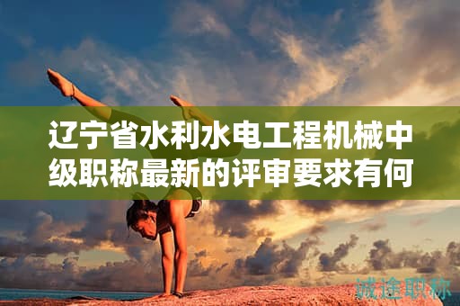 遼寧省水利水電工程機械中級職稱最新的評審要求有何變化，如何應對？
