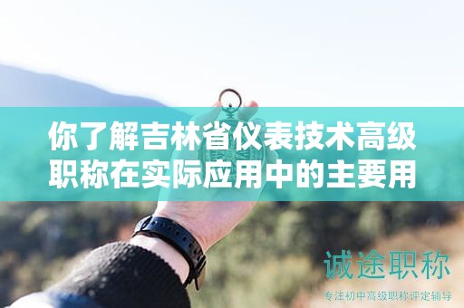 你了解吉林省儀表技術(shù)高級職稱在實際應(yīng)用中的主要用途嗎？