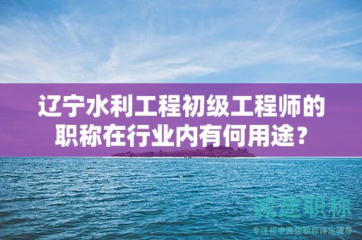 遼寧水利工程初級(jí)工程師的職稱(chēng)在行業(yè)內(nèi)有何用途？