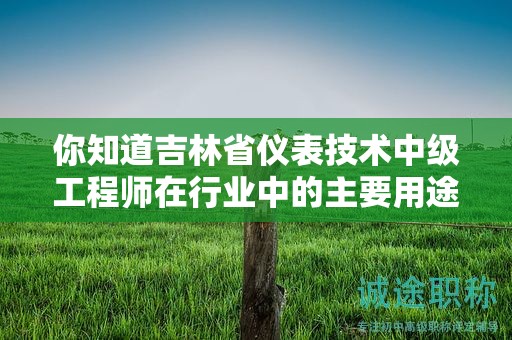 你知道吉林省儀表技術(shù)中級(jí)工程師在行業(yè)中的主要用途是什么嗎？