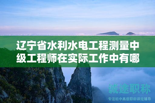 遼寧省水利水電工程測(cè)量中級(jí)工程師在實(shí)際工作中有哪些重要作用？