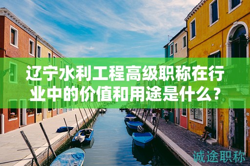 遼寧水利工程高級職稱在行業(yè)中的價值和用途是什么？