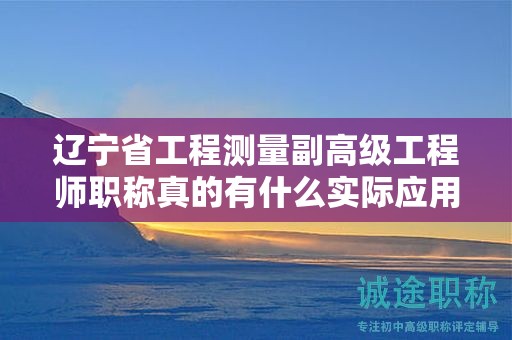遼寧省工程測量副高級工程師職稱真的有什么實際應(yīng)用，它能為你的工作帶來哪些優(yōu)勢？