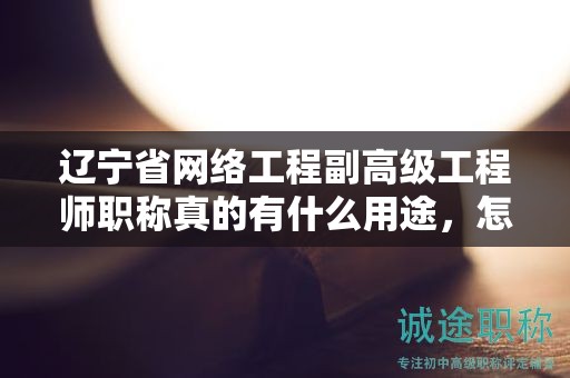 遼寧省網(wǎng)絡(luò)工程副高級(jí)工程師職稱真的有什么用途，怎樣為你的職業(yè)加分？