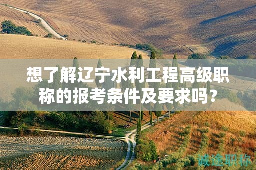 想了解遼寧水利工程高級職稱的報考條件及要求嗎？