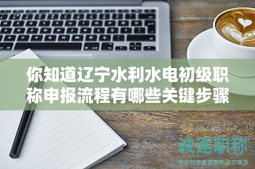 你知道遼寧水利水電初級職稱申報流程有哪些關(guān)鍵步驟嗎？