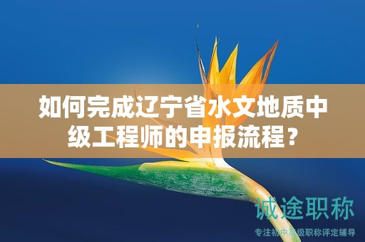 如何完成遼寧省水文地質(zhì)中級工程師的申報流程？
