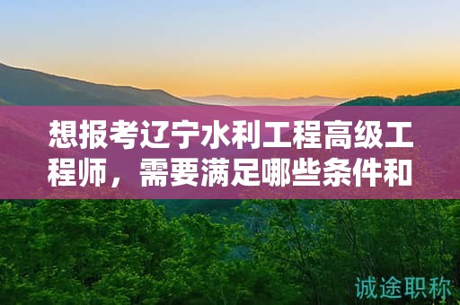 想報考遼寧水利工程高級工程師，需要滿足哪些條件和要求？