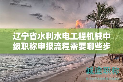 遼寧省水利水電工程機械中級職稱申報流程需要哪些步驟，如何操作？