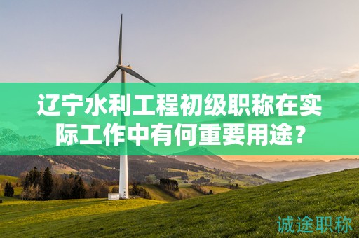遼寧水利工程初級職稱在實(shí)際工作中有何重要用途？