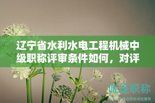 遼寧省水利水電工程機(jī)械中級(jí)職稱評(píng)審條件如何，對(duì)評(píng)定有何作用？