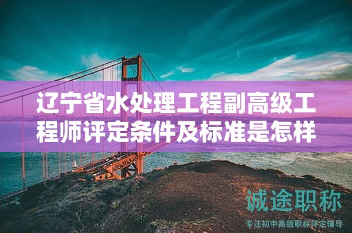 遼寧省水處理工程副高級工程師評定條件及標(biāo)準(zhǔn)是怎樣的，它對申請者有何影響？