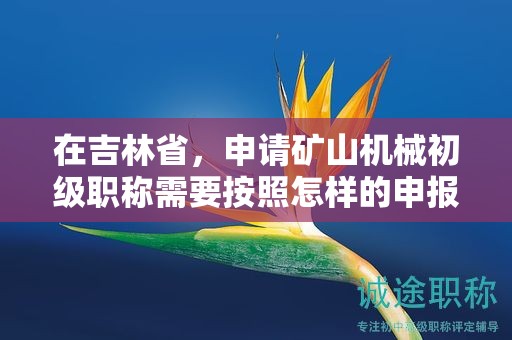 在吉林省，申請(qǐng)礦山機(jī)械初級(jí)職稱(chēng)需要按照怎樣的申報(bào)流程進(jìn)行？
