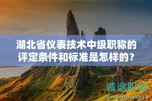 湖北省儀表技術(shù)中級職稱的評定條件和標準是怎樣的？