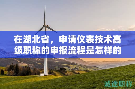 在湖北省，申請儀表技術(shù)高級職稱的申報(bào)流程是怎樣的？