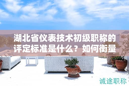 湖北省儀表技術(shù)初級(jí)職稱的評(píng)定標(biāo)準(zhǔn)是什么？如何衡量？