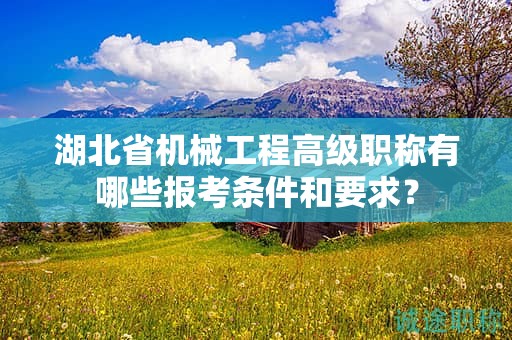 湖北省機(jī)械工程高級(jí)職稱有哪些報(bào)考條件和要求？