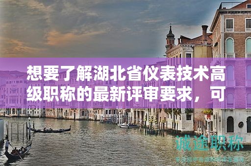 想要了解湖北省儀表技術(shù)高級職稱的最新評審要求，可以查閱哪些信息？