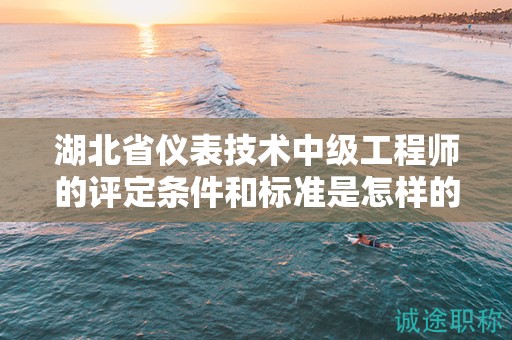 湖北省儀表技術(shù)中級工程師的評定條件和標準是怎樣的？