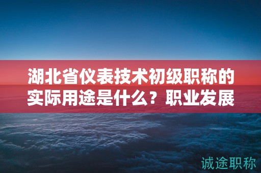 湖北省儀表技術(shù)初級職稱的實際用途是什么？職業(yè)發(fā)展價值大嗎？