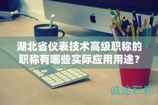 湖北省儀表技術(shù)高級(jí)職稱(chēng)的職稱(chēng)有哪些實(shí)際應(yīng)用用途？