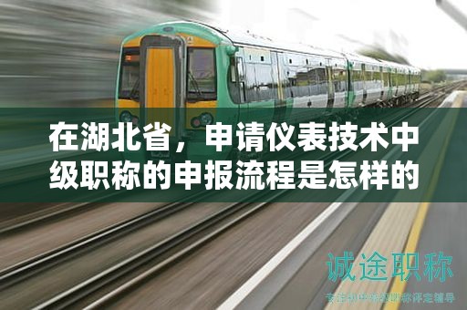 在湖北省，申請(qǐng)儀表技術(shù)中級(jí)職稱的申報(bào)流程是怎樣的？