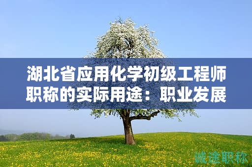 湖北省應(yīng)用化學(xué)初級(jí)工程師職稱的實(shí)際用途：職業(yè)發(fā)展中的意義何在？